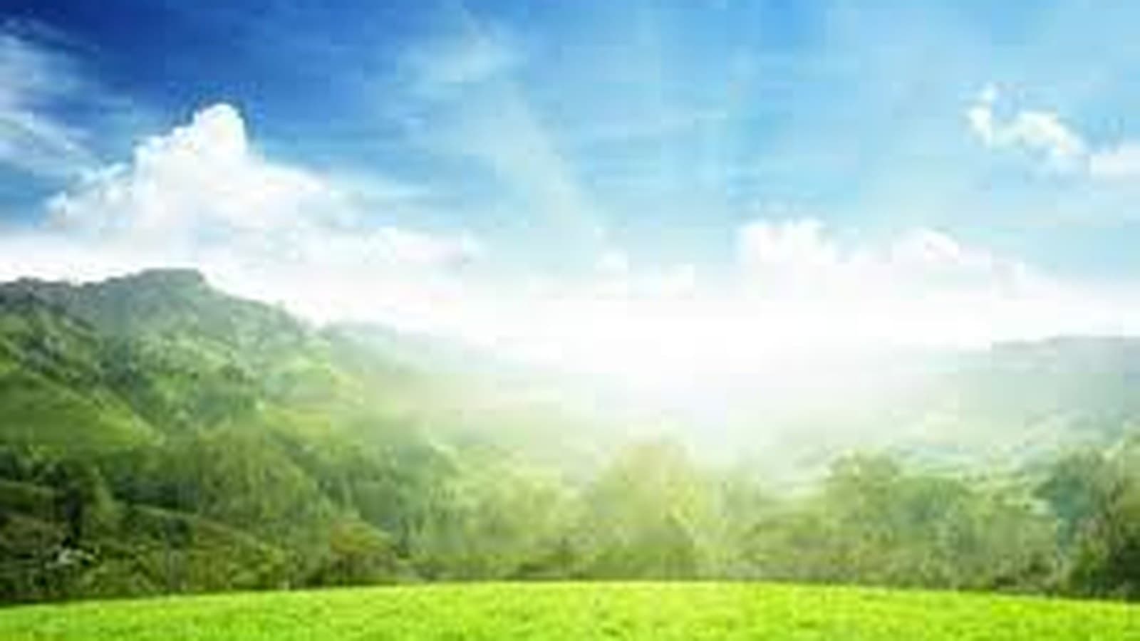 День спадщини: фотосесія