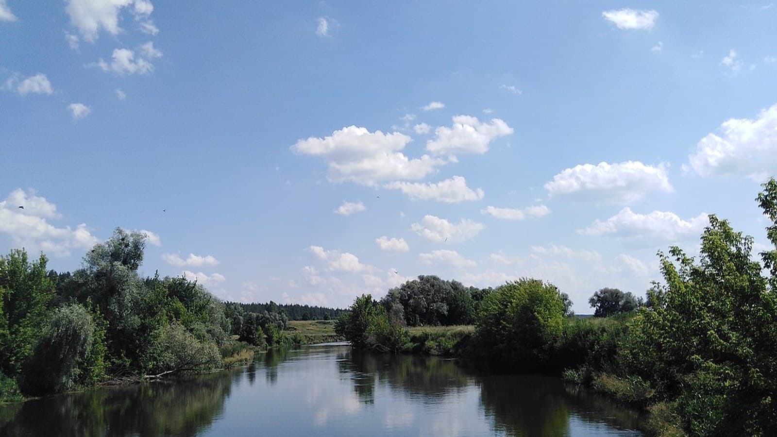 Сіверський Донець у Задонецькому